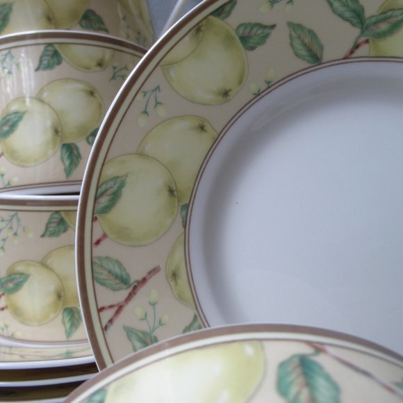 Fine Porcelain Set 8 mugs & 8 Saucers Apple Orchard by Stokes Casual MagnaStrong - Picture 13 of 16